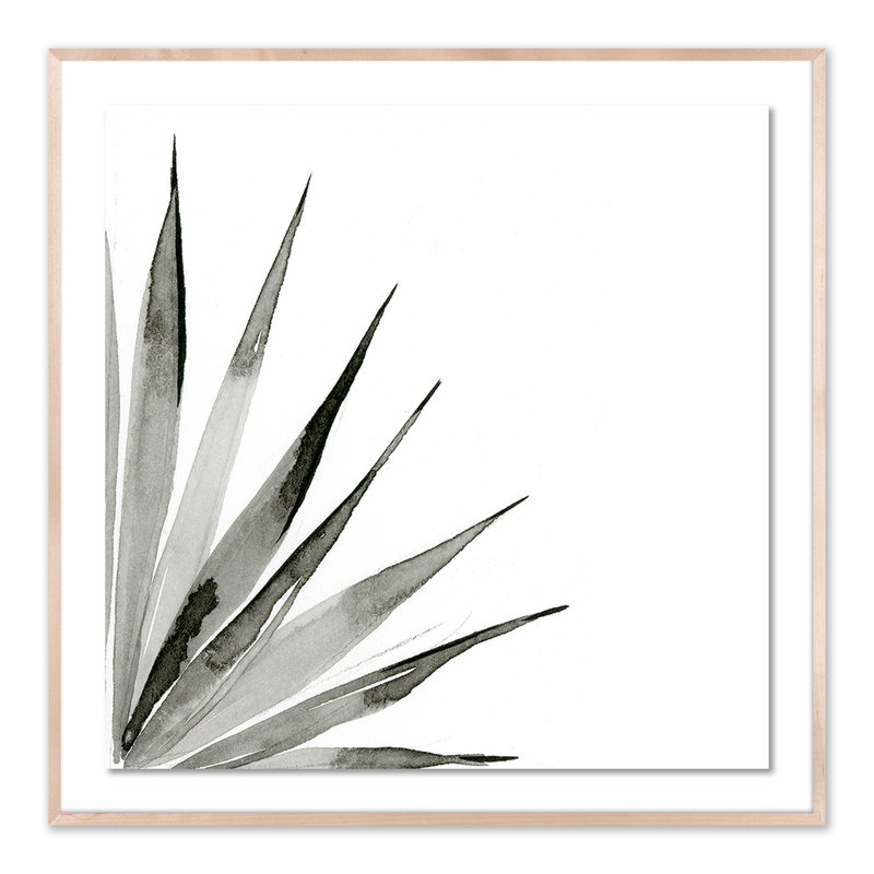 Agave II Print by Jess Engle, Natural, 48" H x 48" W x 2.5" D