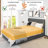 Thaxted Upholstered Metal Platform Storage Bed-80929214-80929211