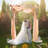 Valmonte 160cm W x 60cm D Solid Wood Arbour in Wood