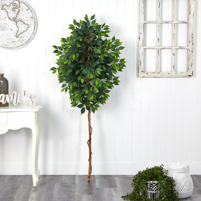 72'' Faux Ficus Tree