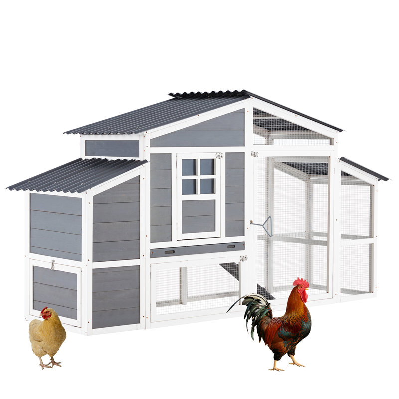 Large Gray and White Wooden Chicken Coop with Run