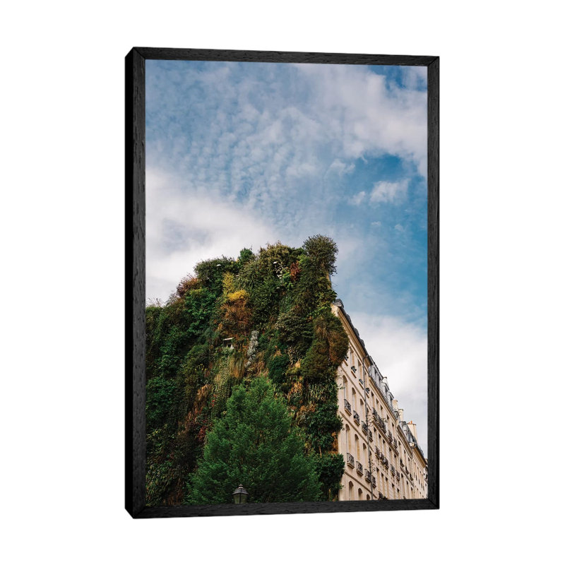 Parisian Vertical Garden by Bethany Young - Print on Canvas, Black Framed, 66.04cm H x 45.72cm W x 3.81cm D