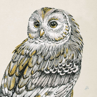 Beautiful Owls III - rétro