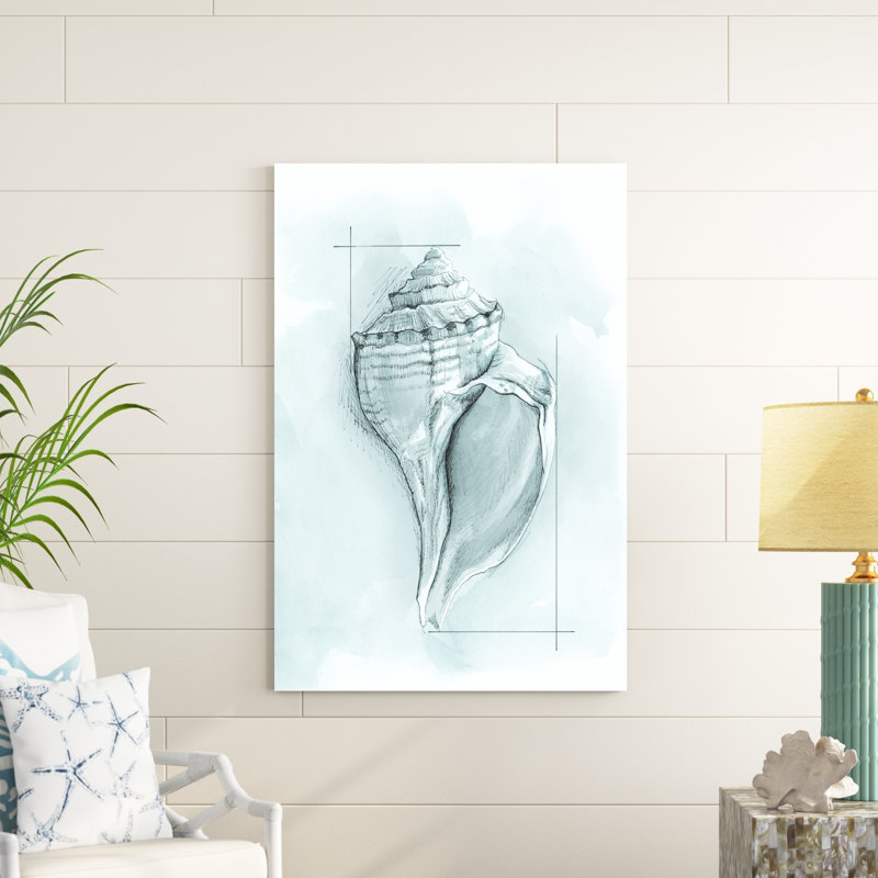 " Coastal Shell Schematic I " by Megan Meagher, 48" H x 32" W