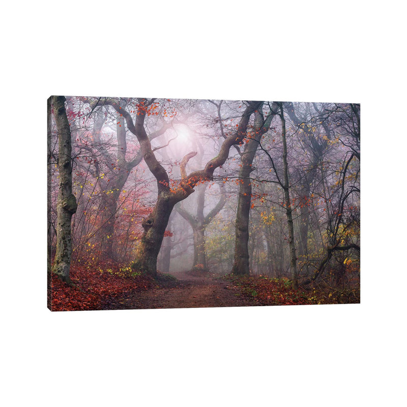 Walking The Old Path by Leif Londal - Wrapped Canvas Print, 30.48cm H x 45.72cm W x 1.905cm D