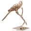 Morgana Animals Figurines & Sculptures-62068704