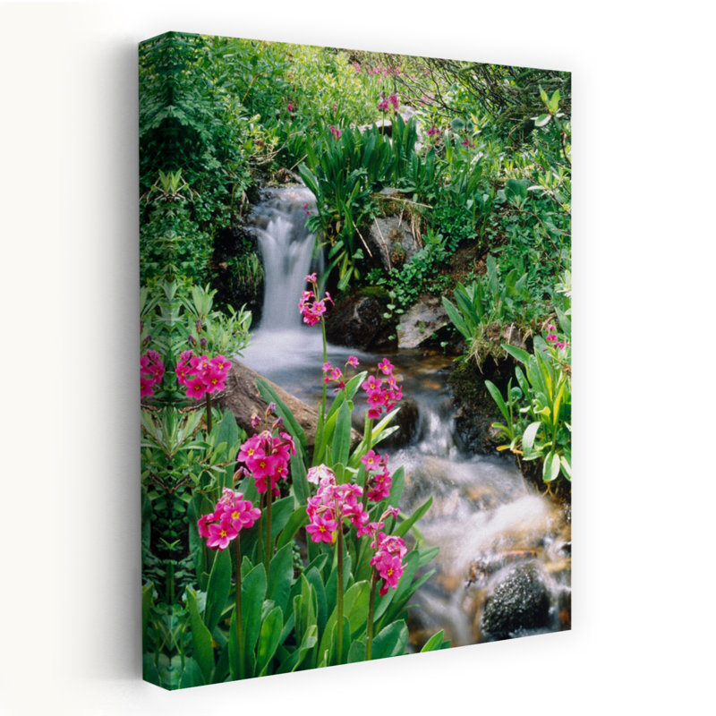 Waterfall Co, États-Unis, art floral contemporain, H 16 po x l 24 po