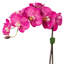 Arrangement floral orchidée en pot-70050662