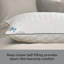 Sealy Deeply Full Pillows 2 Pack