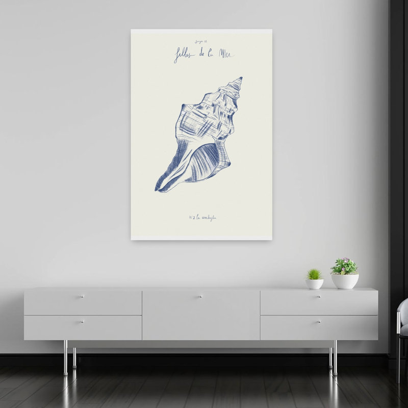Coastal Seashell Study by Giulia Mora - Wrapped Canvas Print, 152.4 cm H x 101.6 cm W