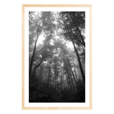 Landscape & Nature Print