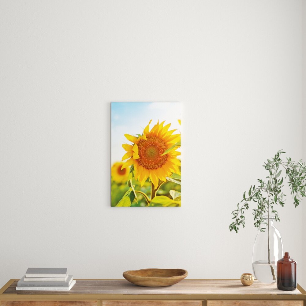 Leinwandbild Sonnenblumen Sonnenblumenfeld Sonnenschein, Fotodruck