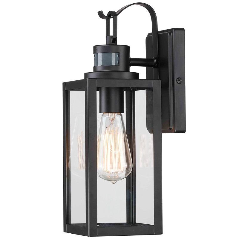 Schlesinger Matte Black 38.1cm H Outdoor Wall Lantern