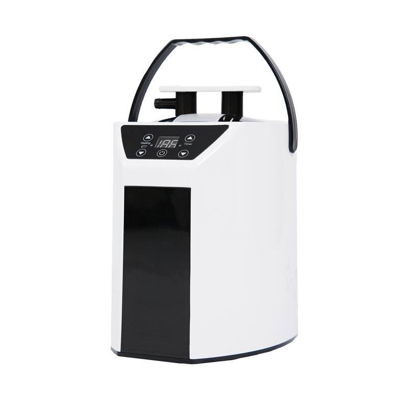 Pot portable pour sauna, générateur de vapeur en acier inoxydable de 3 L avec télécommande, bouton tactile intelligent, machine de spa avec affichage de la minuterie, brume hydratante pour la désintoxication corporelle