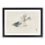Herring Gull by Kono Baireir - Picture Frame Painting Print-55763060-55763061