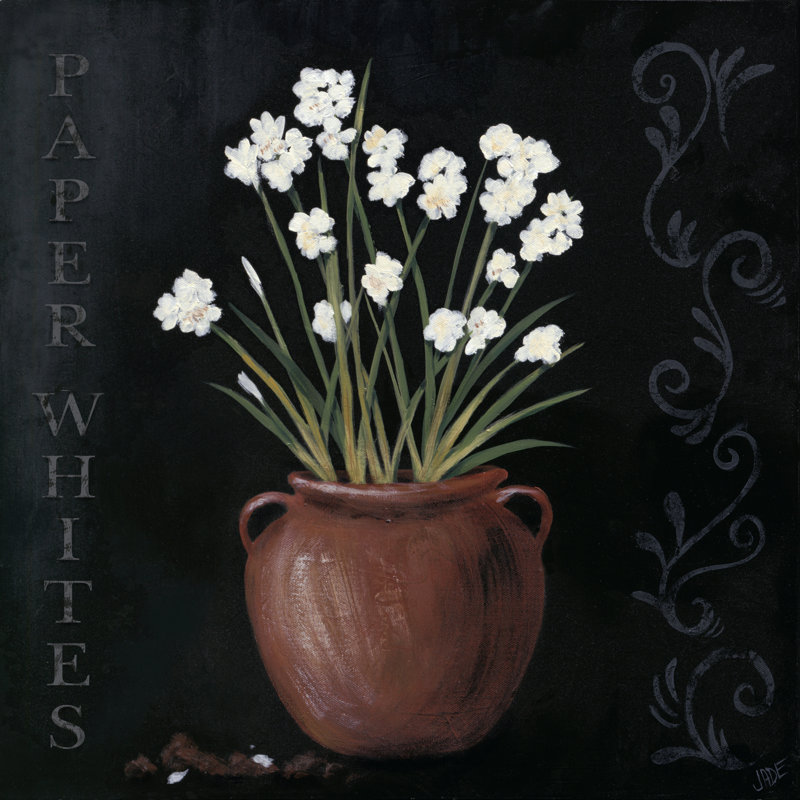 Paper Whites by Jade Reynolds - Wrapped Canvas Painting, 30cm H x 30cm W x 3.8cm D