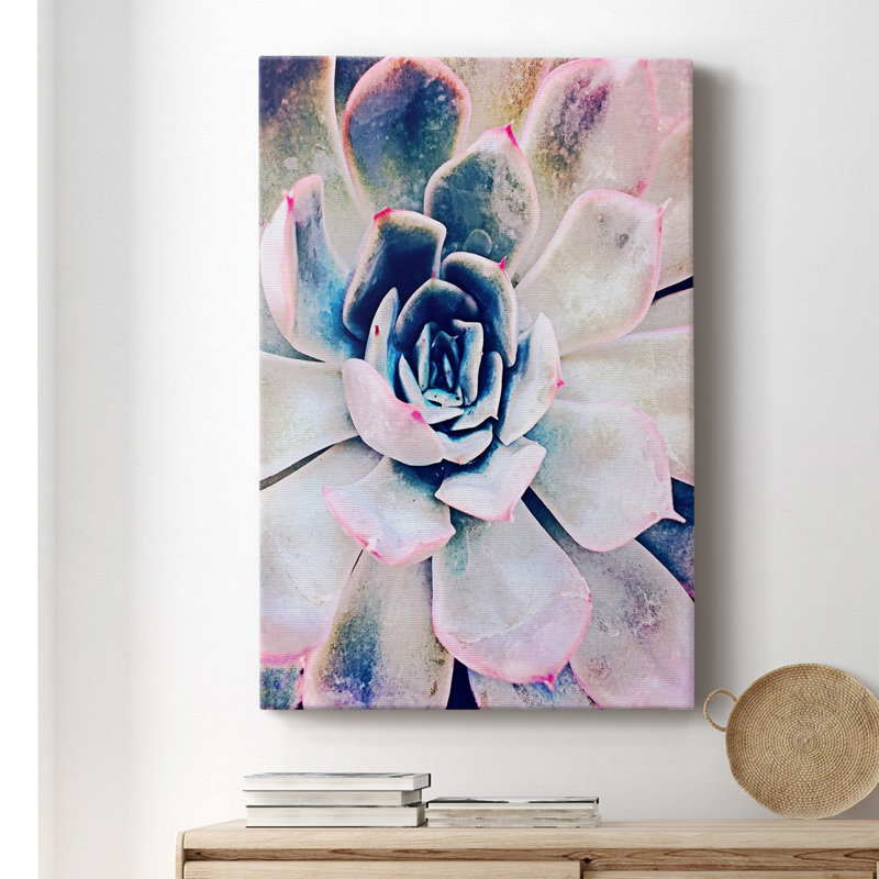 Pastel Succulent Beauty II - Photographie sur toile tendue, H 18 po x l 12 po x P 1,5 po
