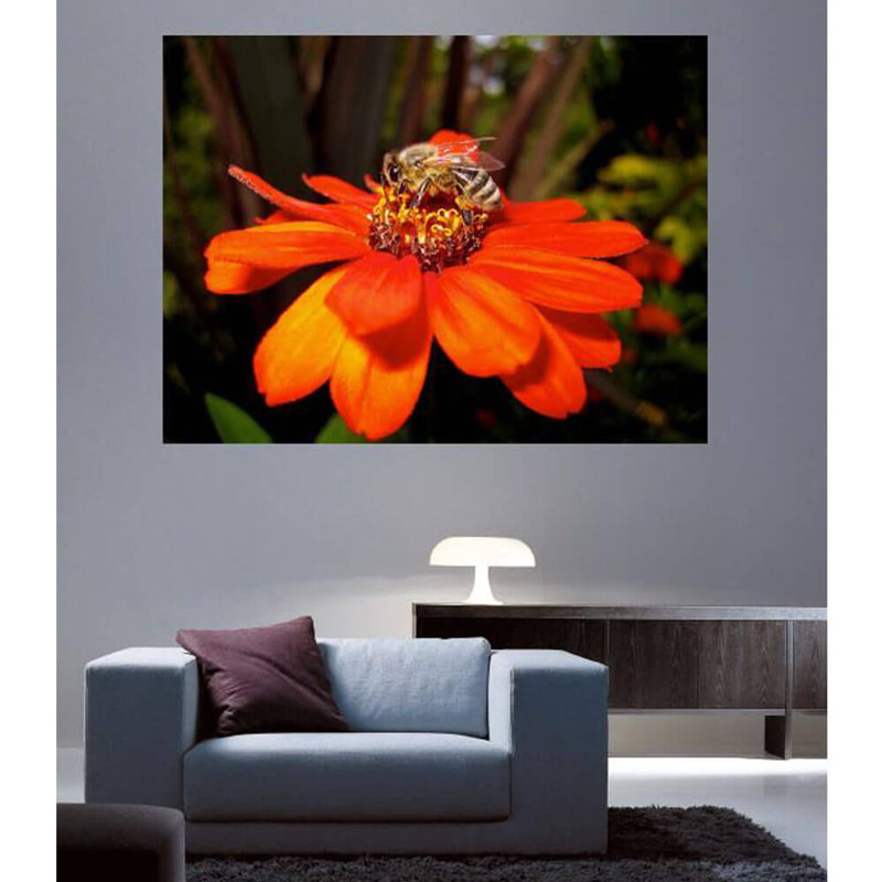 Gottschalk Plants & Flowers Non-Wall Damaging Wall Decal, 18" x 24"