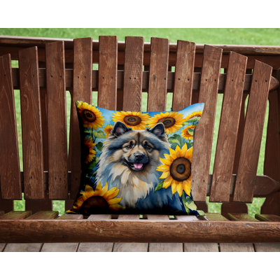 Coussin décoratif intérieur / extérieur Autre / Sans motif