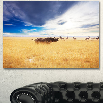 " Huge Rhino With Antelopes "