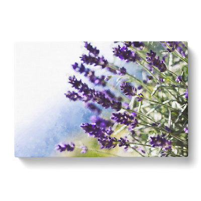 Lavender Vol.2 - Wrapped Canvas Print