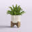 11'' Faux Eucalyptus Plant in Planter