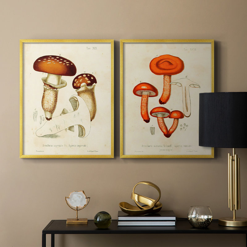 Champignon Variétés III - reproduction encadrée de qualité supérieure - prête à être accrochée - aucun clou requis - aucun clou requis