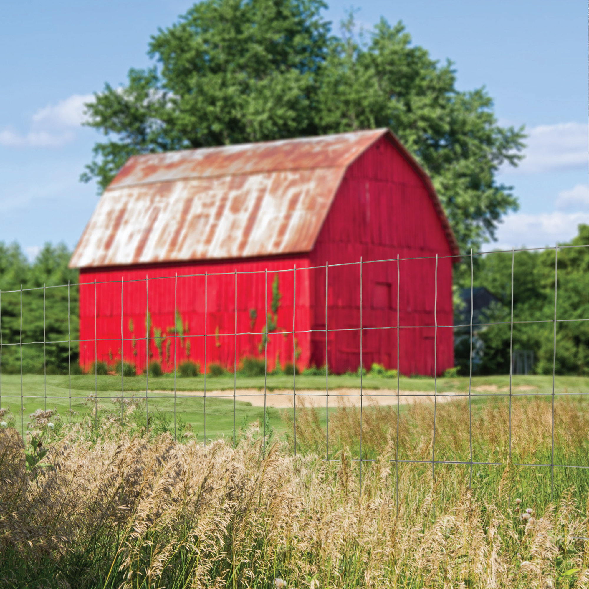 YARDGARD Metal Fencing & Reviews Wayfair Canada