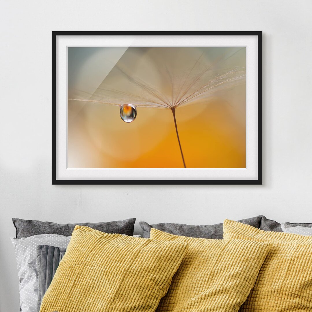 Gerahmtes Papierbild Pusteblume in Orange