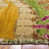 Brown/Green/Orange/Yellow selected