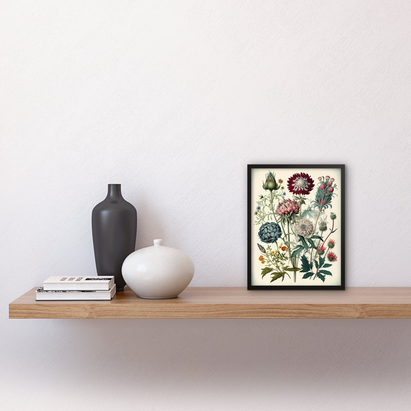 Ernst Haeckel Style Vintage Botanical Plant - Single Picture Frame Print