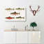 Selection Of Fishes From North America Fish by Sherman F. Denton - Wrapped Canvas Painting-55318743