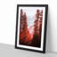 Mountain Through the Forest in Abstract - Picture Frame Graphic Art Print-55731212-55731215