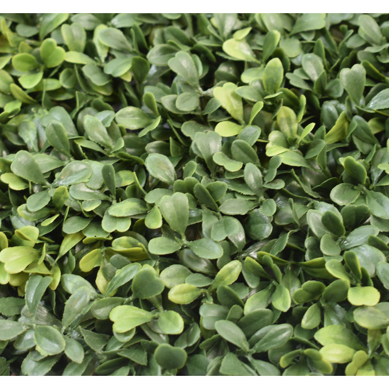 Set Of 24 Boxwood Mats, 12
