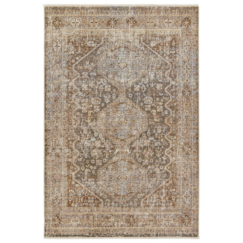 Clemente Oriental Indoor Rug, Rectangle 10' x 14'