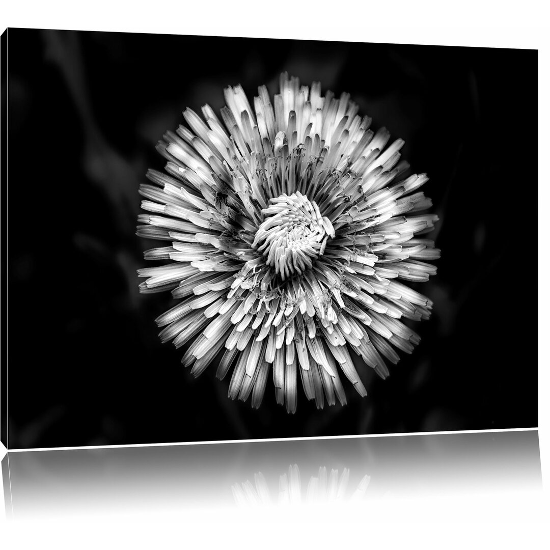 Leinwandbild Dark prächtige gelbe Blume in Monochrom