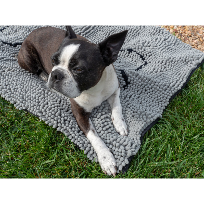 Tapis pour chien sale