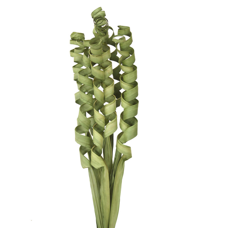 Flax Arrangement