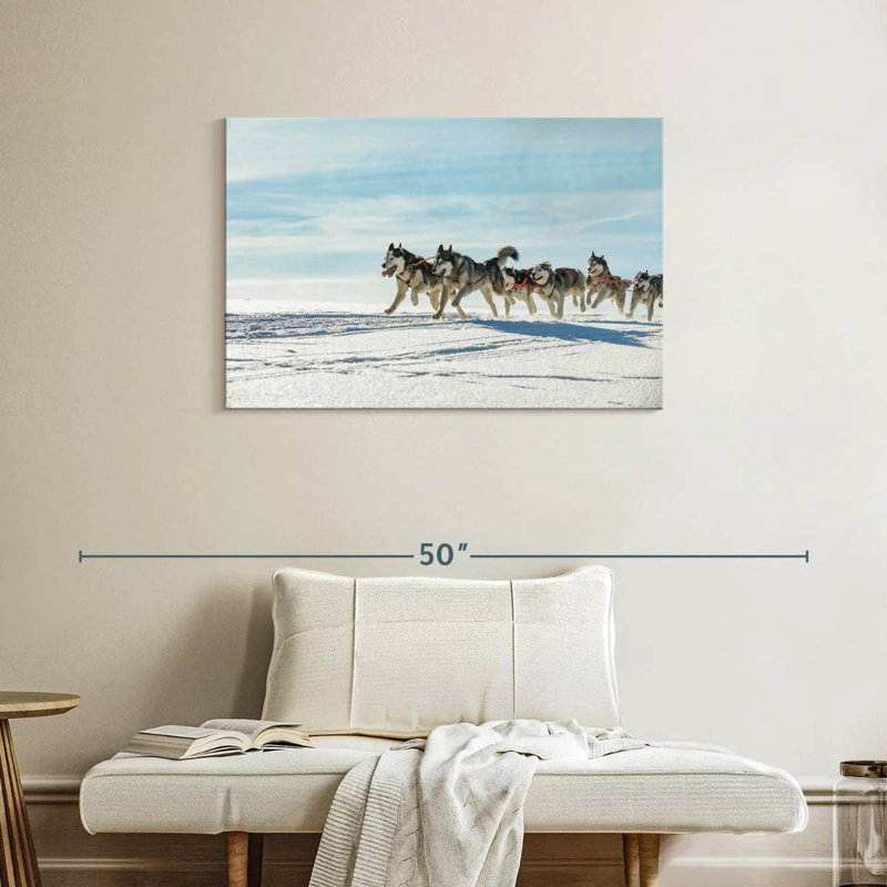 Winter Husky Sled Dogs, H 24 po x l 36 po