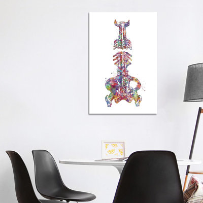 Spine Pelvis - Wrapped Canvas Print