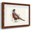 Pheasant Splash 5 - reproduction d'un seul cadre photo-1946987687-1946987691