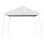 Abri dépliant en acier l 10 pi x P 10 pi-90580385-49707934