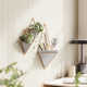 Trigg Wall Décor