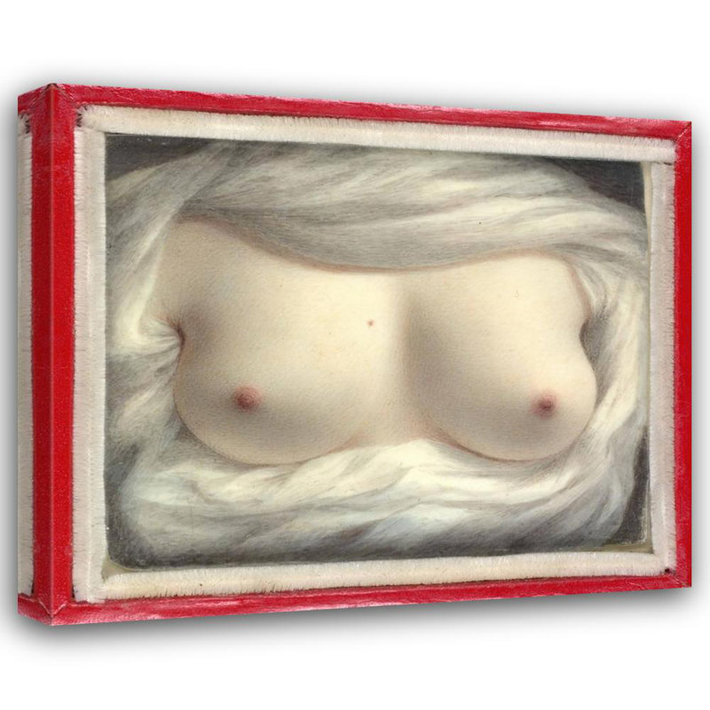 "Beauty Revealed" by  Sarah Goodridge - Gallery Wrap Canvas Wall Art, 24" H x 17" W
