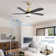 Damecia 52'' Ceiling Fan with LED Lights
