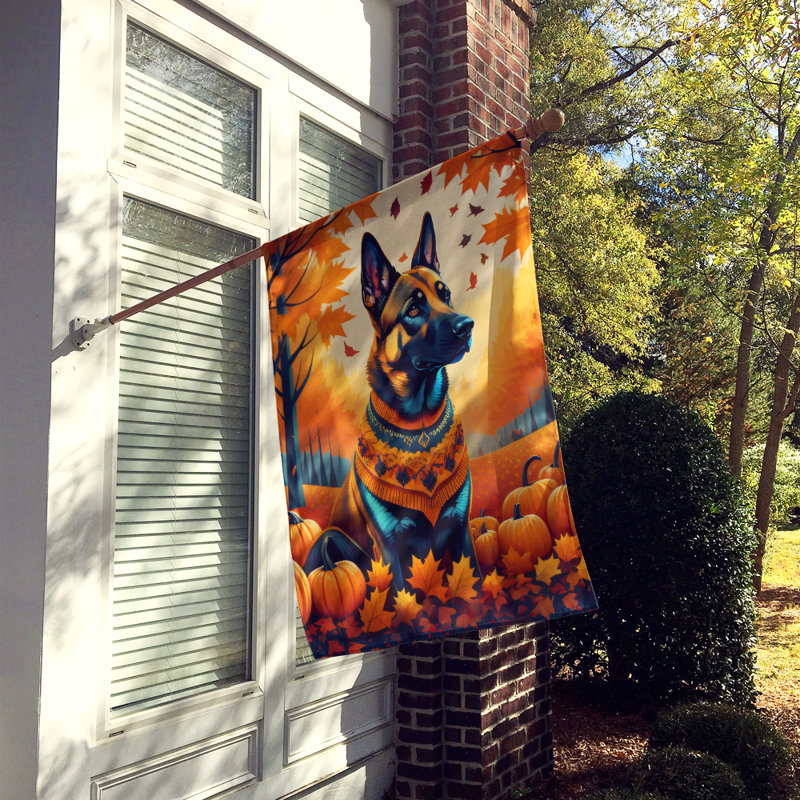 Double Sided 40'' H x 28'' W Polyester House Flag