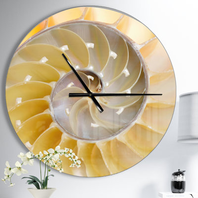 Isolated Nautilus Shell - Modern wall clock