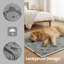 Pet Blanket