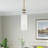Sampson 1 - Light Shaded Pendant-87309120