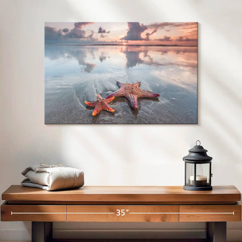 Paire d'étoiles de mer Brampt Beach, H 16 po x l 24 po